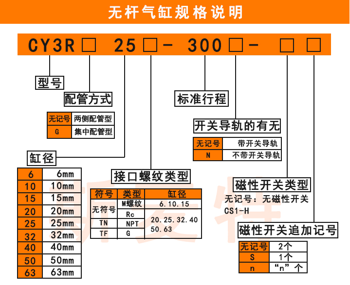 CY3R无杆气缸